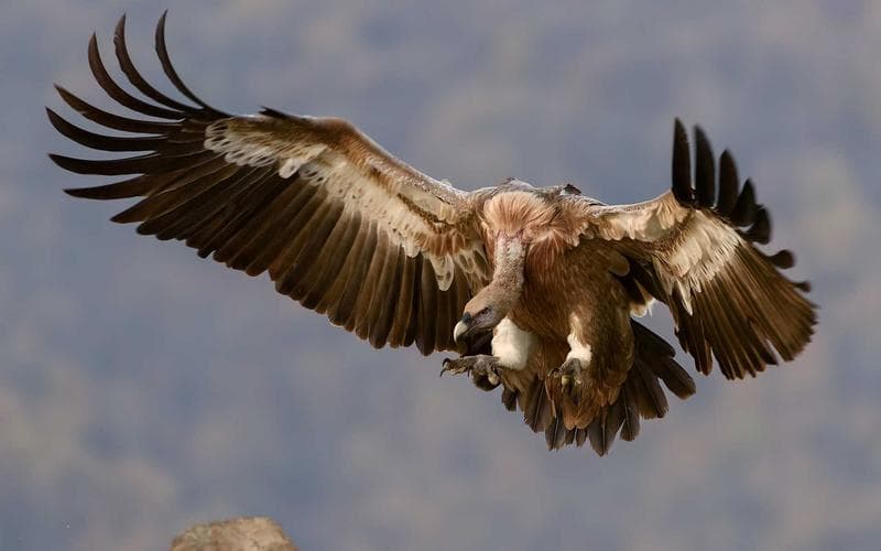 Fiordy norweskie z pokładu promu
